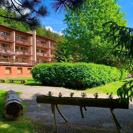 Horsky Hotel Podjavornik Papradno Eksteriør bilde