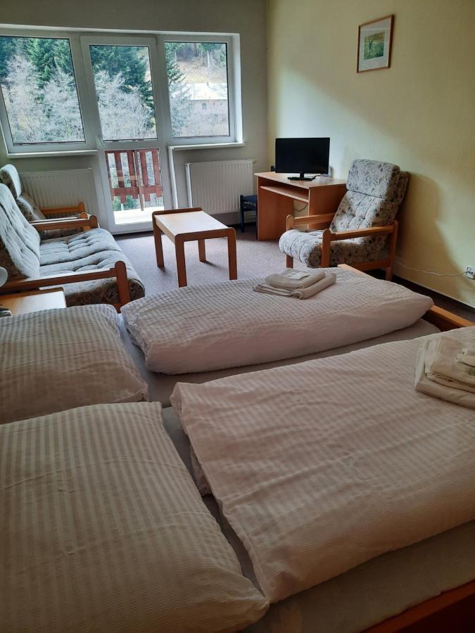 Horsky Hotel Podjavornik Papradno Eksteriør bilde